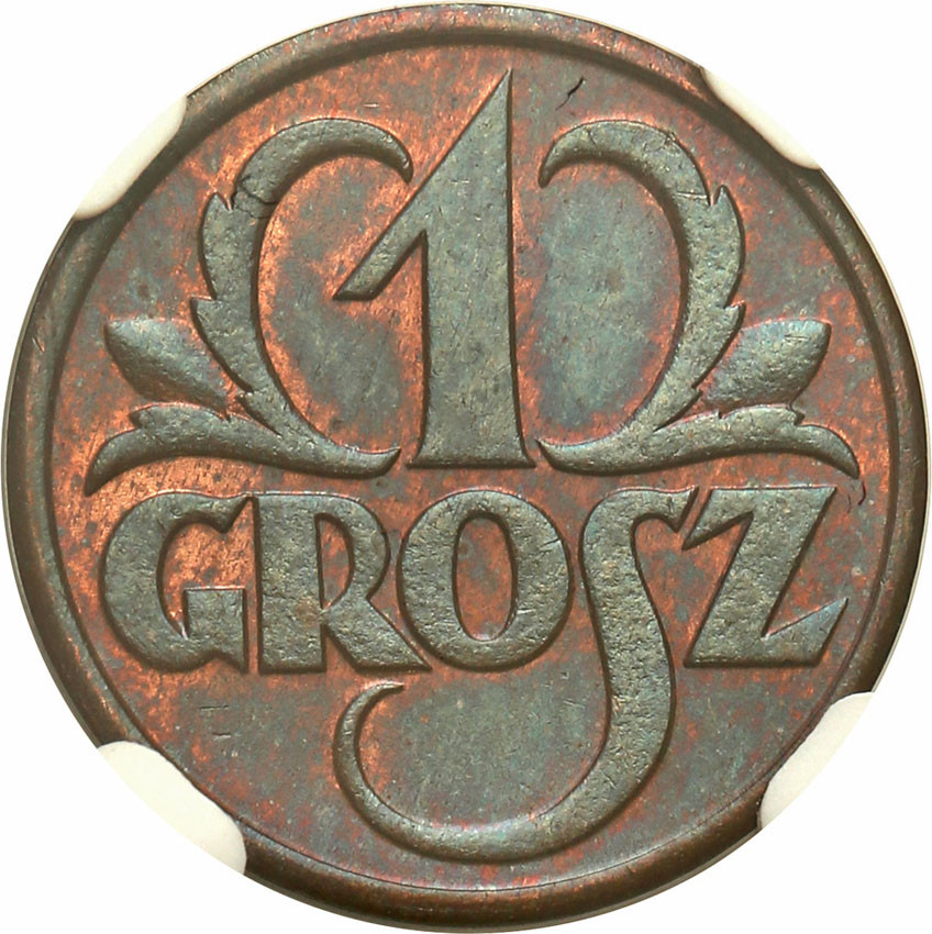 Polska II RP 1 grosz 1931 NGC MS64 BN